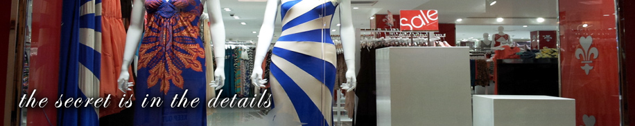 solar panel cleaning image