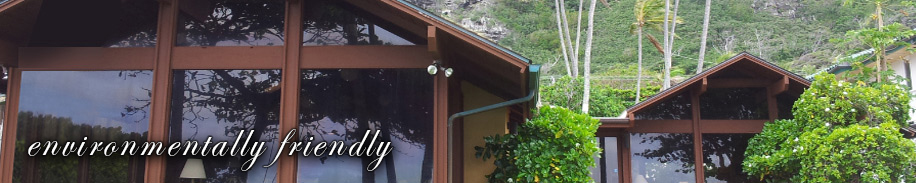 solar panel cleaning image